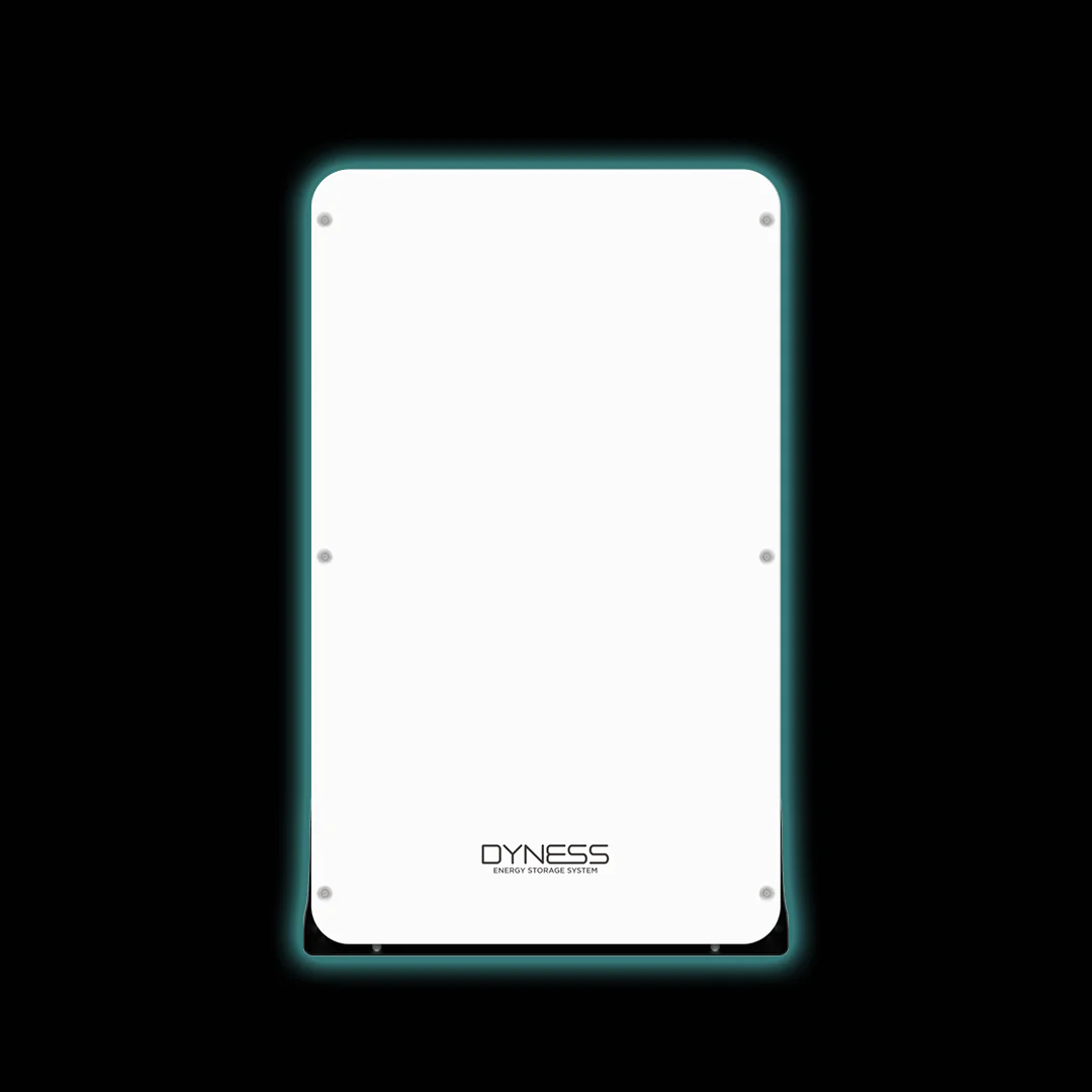 Dyness Powerbox Pro