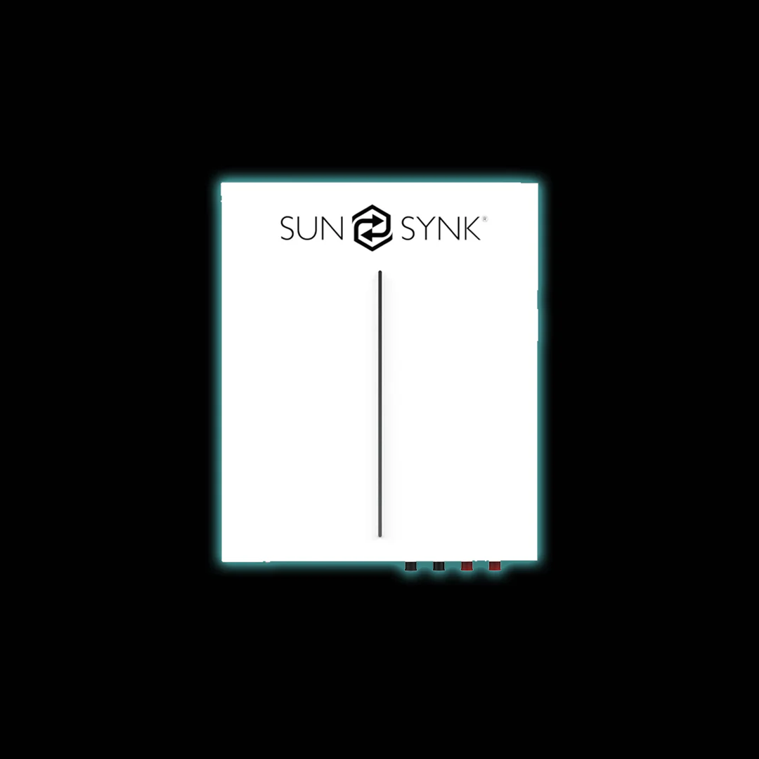 Sunsynk Battery - Image 3