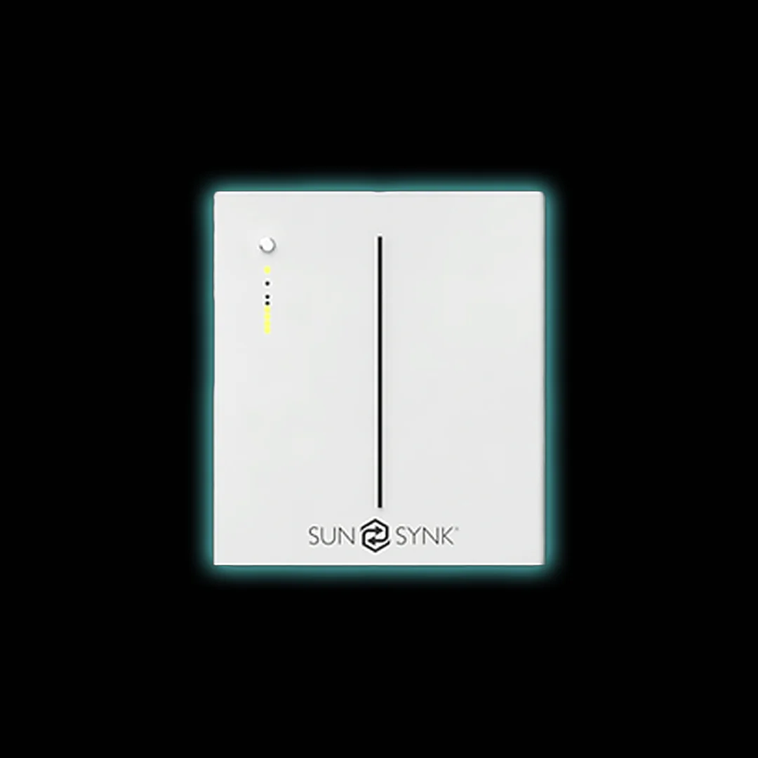 Sunsynk Battery - Image 4